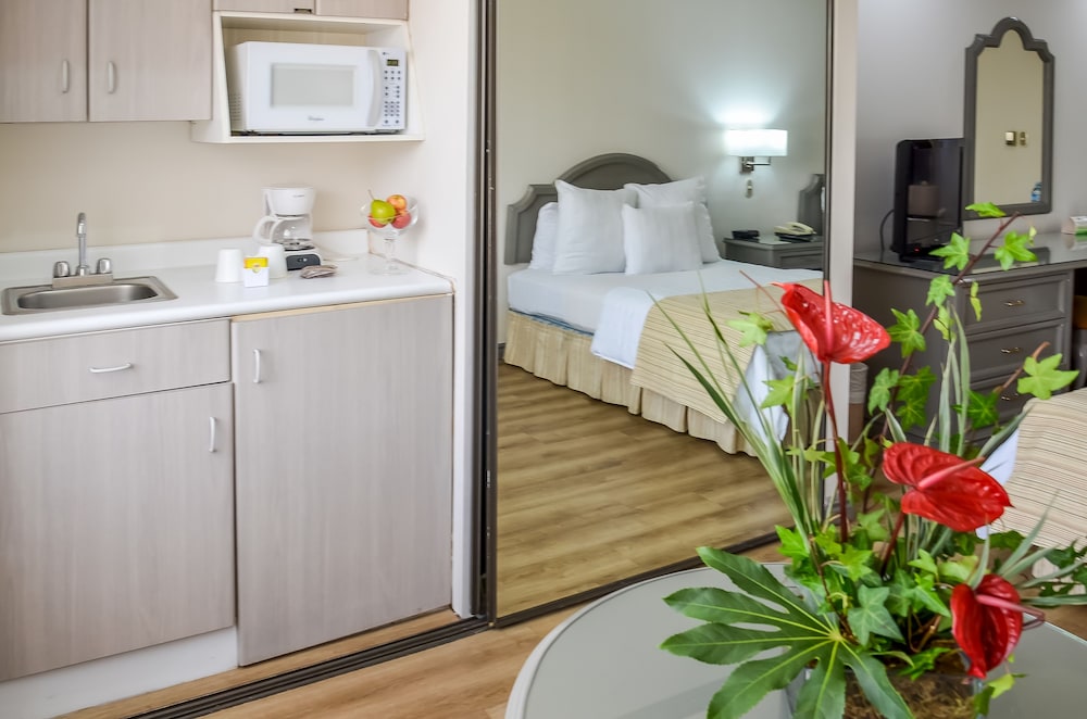 桑坦德广场酒店(Hotel Santander Plaza) 图片3