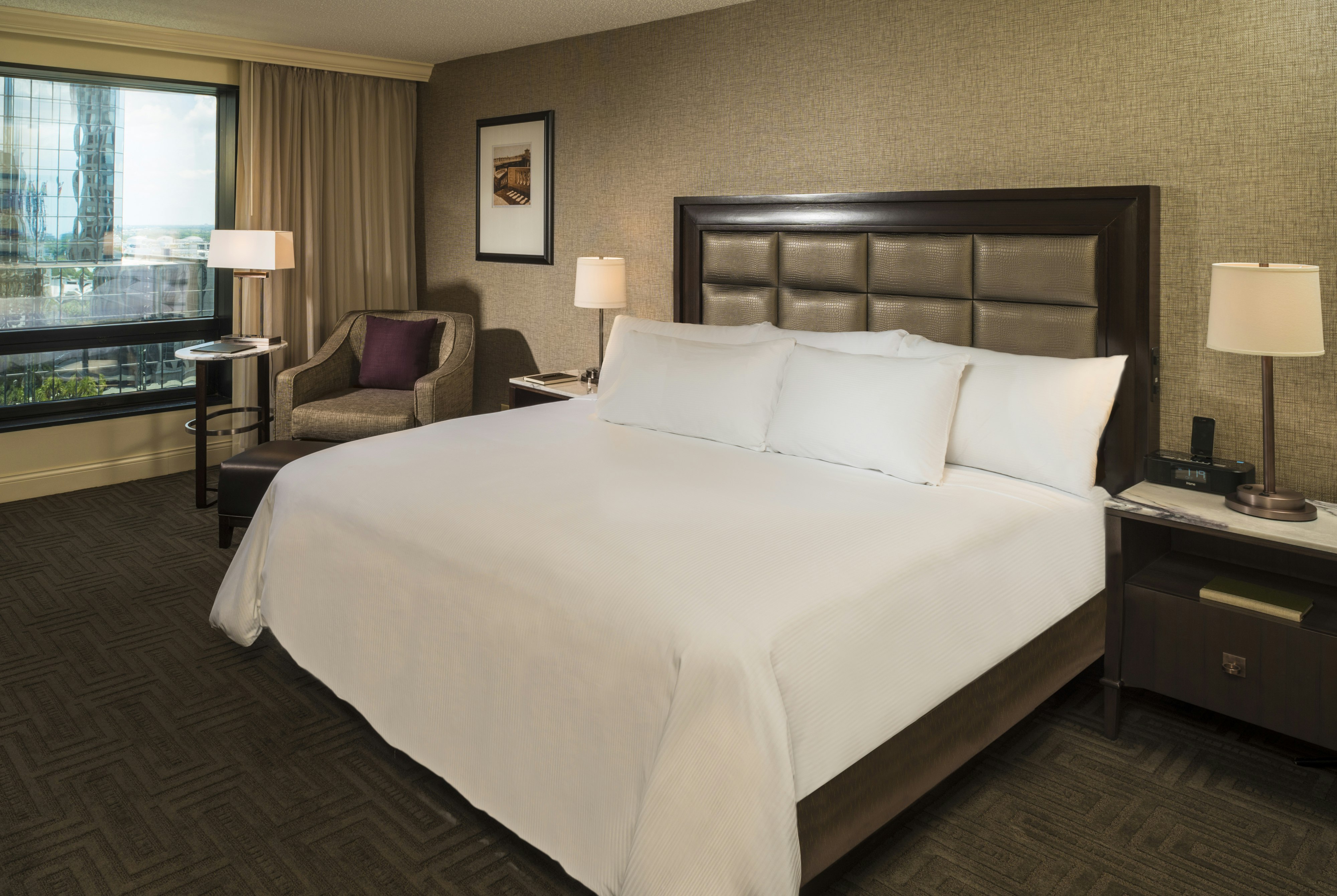 ROOM, KING BED, ACCESSIBLE