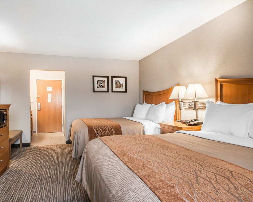 Comfort Inn South - Springfield 15/34