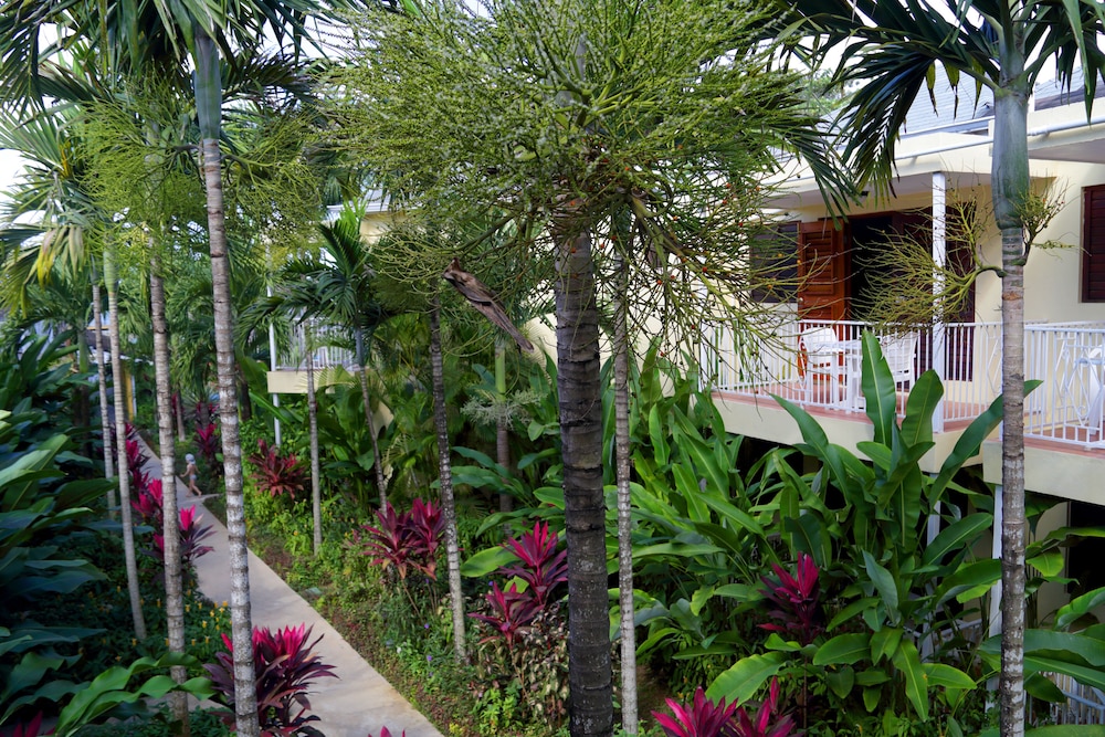 Negril Palms 5/55
