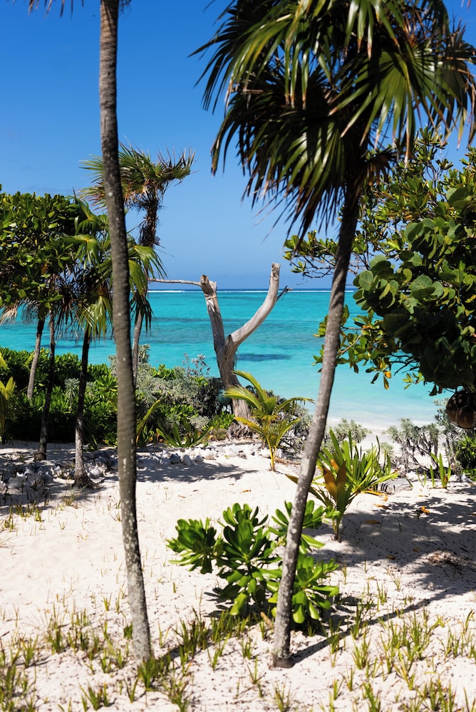 Pelican Beach Hotel 42/50