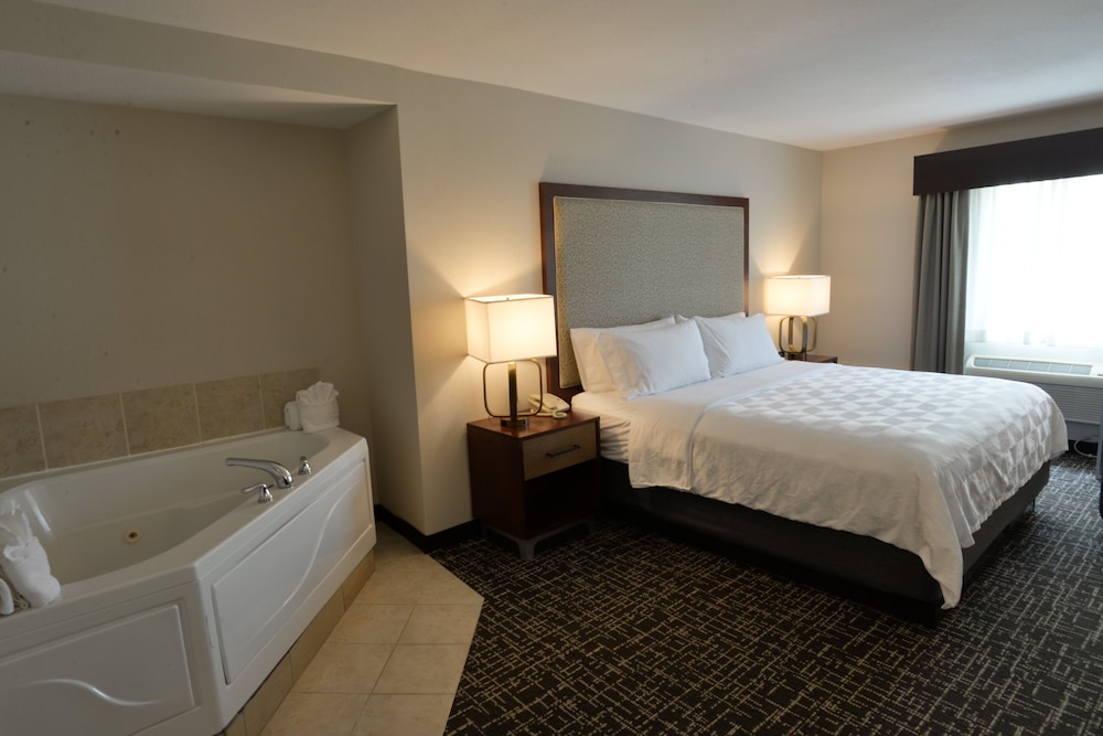 Holiday Inn Hotel Suites Minneapolis Lakeville 10/46
