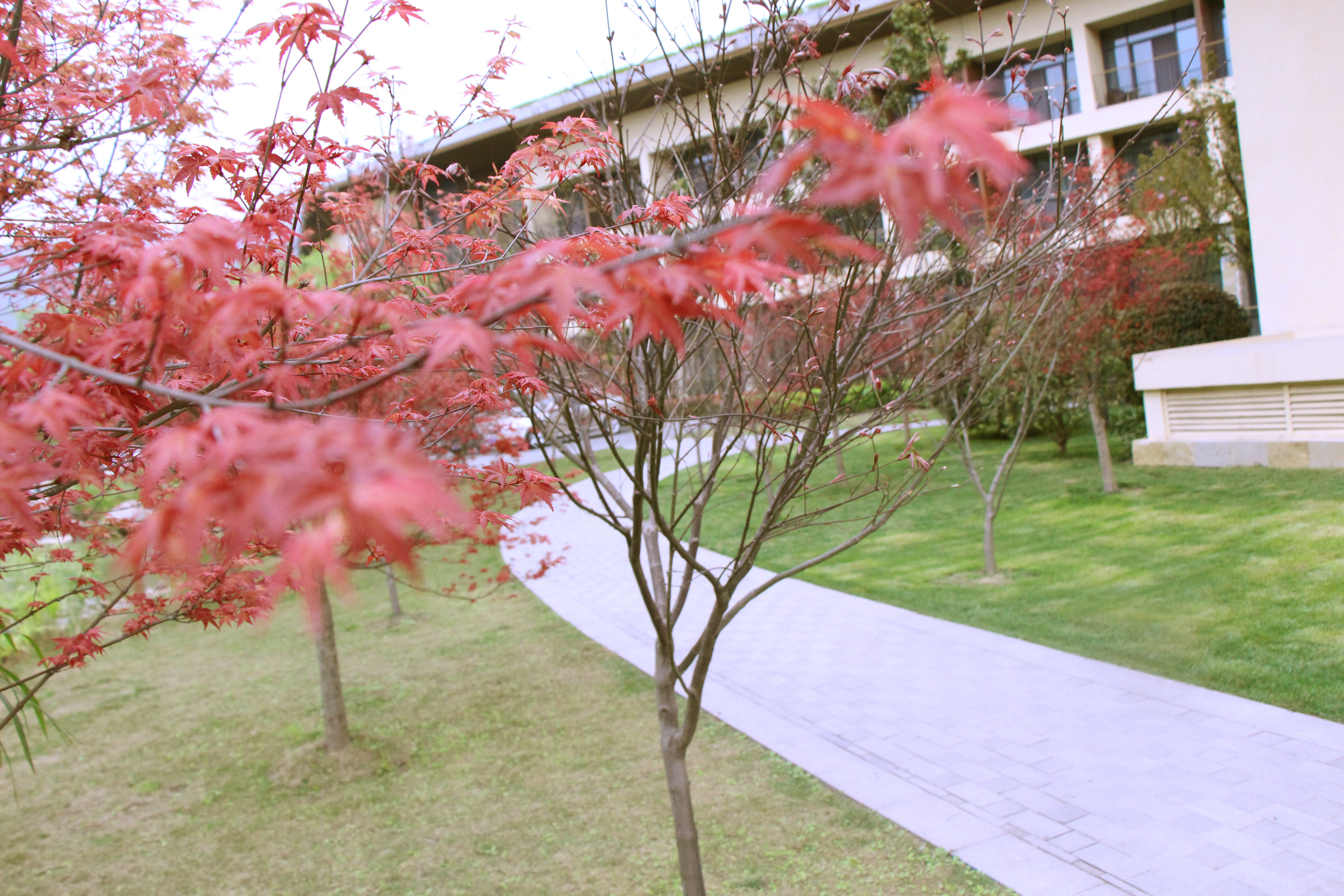 HOLIDAY INN EXPRESS EMEI MOUNTAIN 67/69