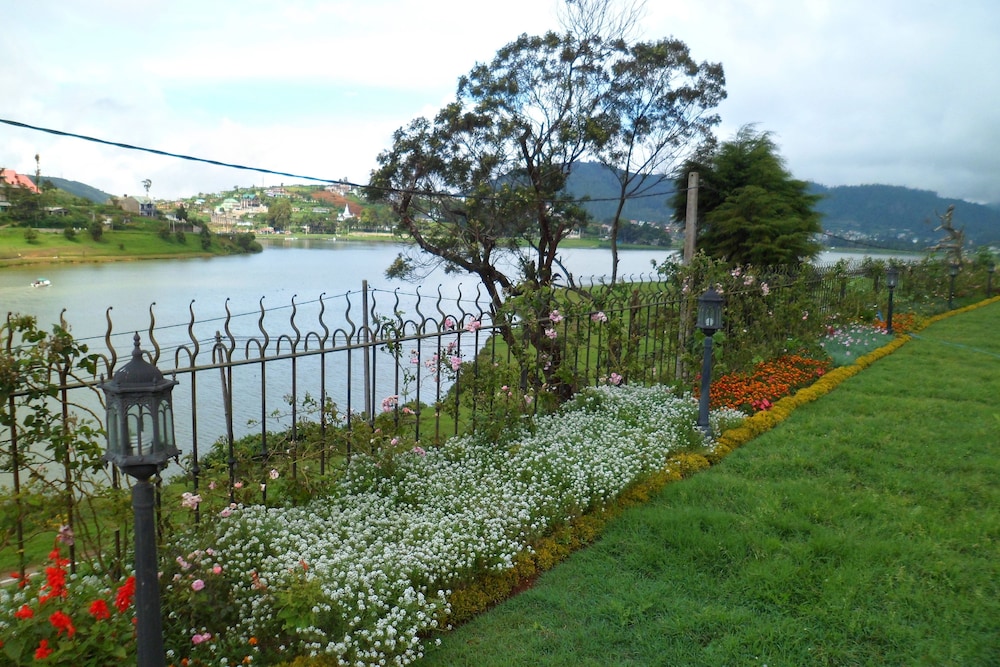 Tea Plant Nuwara Eliya 45/49