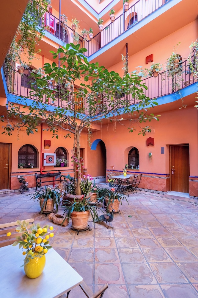 Patio De La Alameda 67/68
