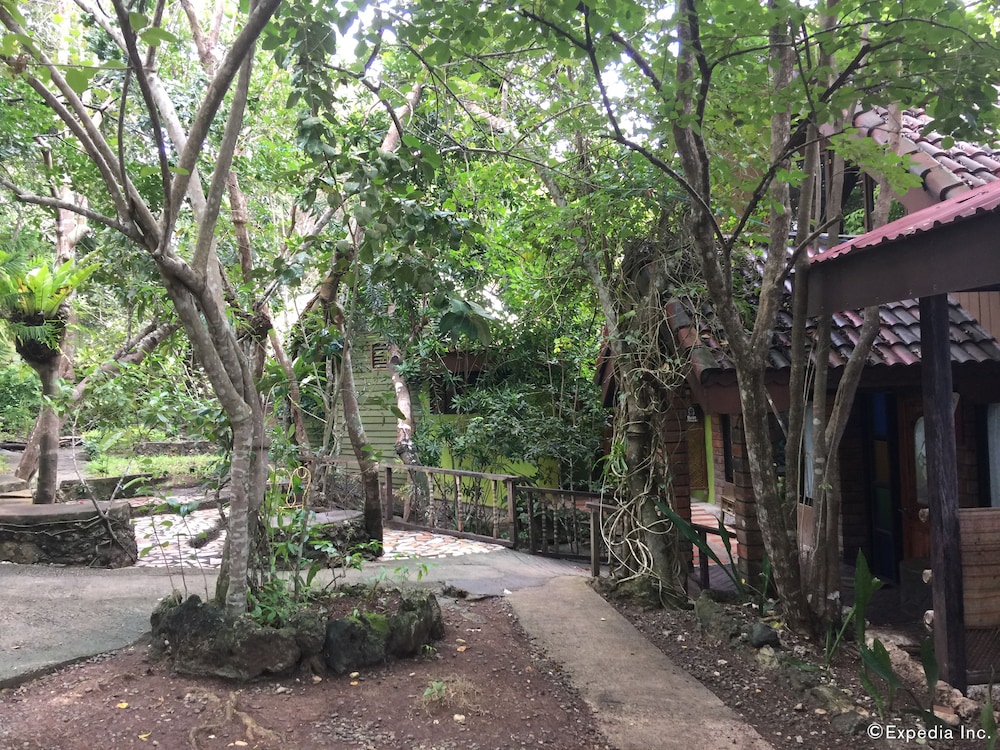 Bohol Bee Farm 65/75