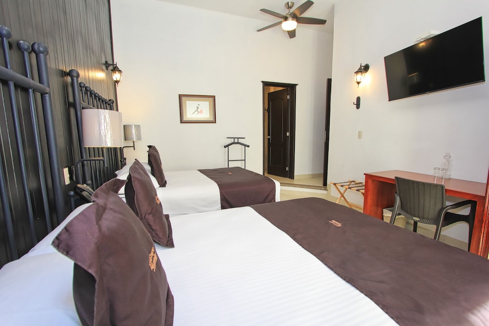 Hotel Plata Condesa 24/55