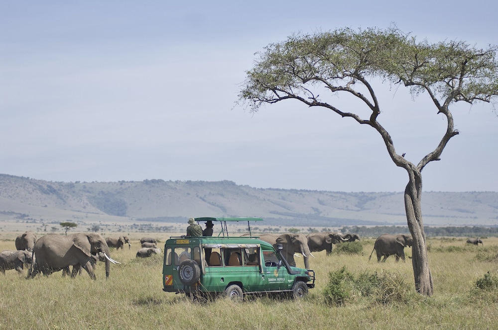 Mara Serena Safari Lodge 7/77