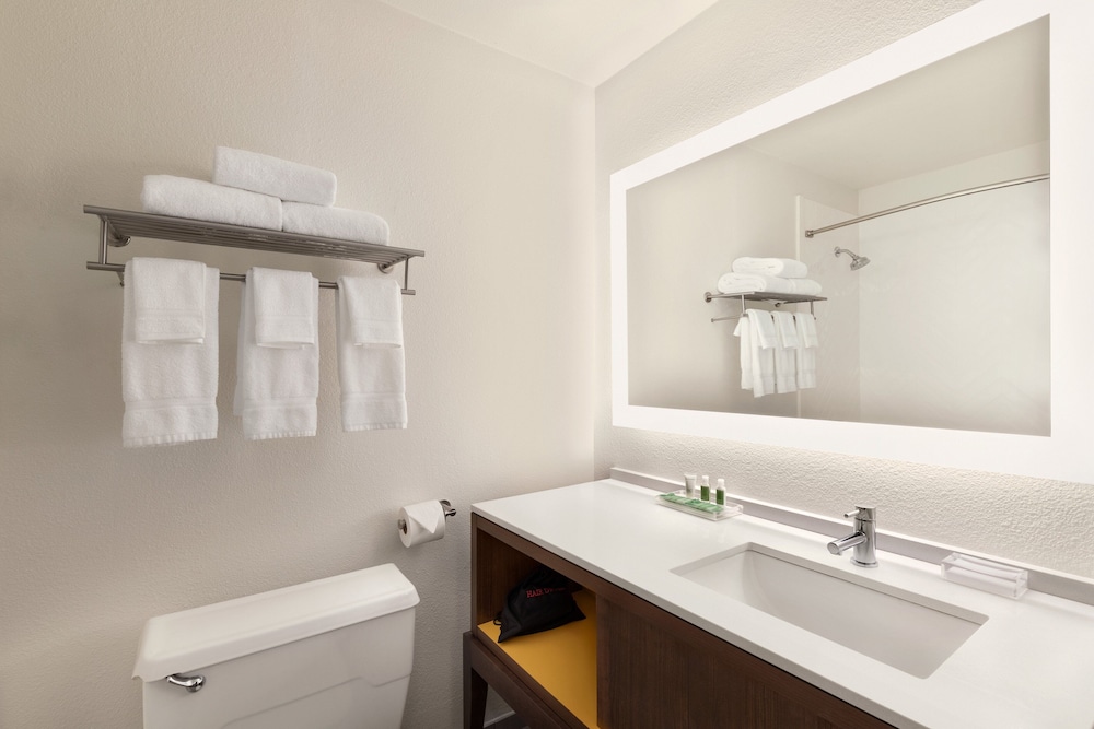 Holiday Inn Houston Intercontinental Airport 20/50