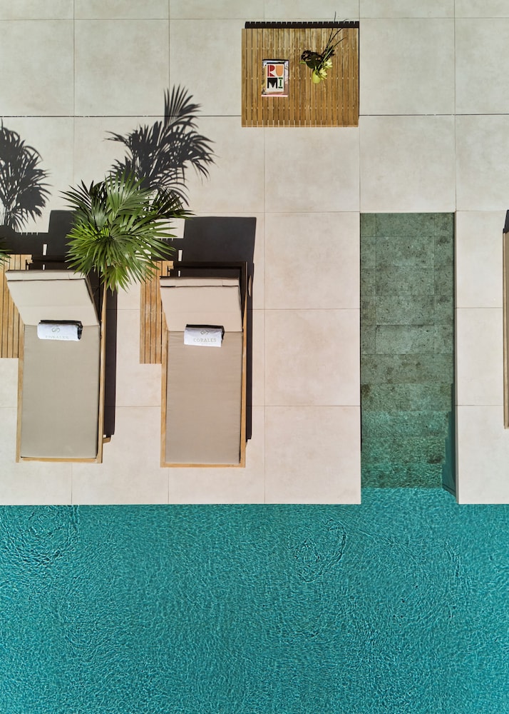 Royal Hideaway Corales Villas 3/50