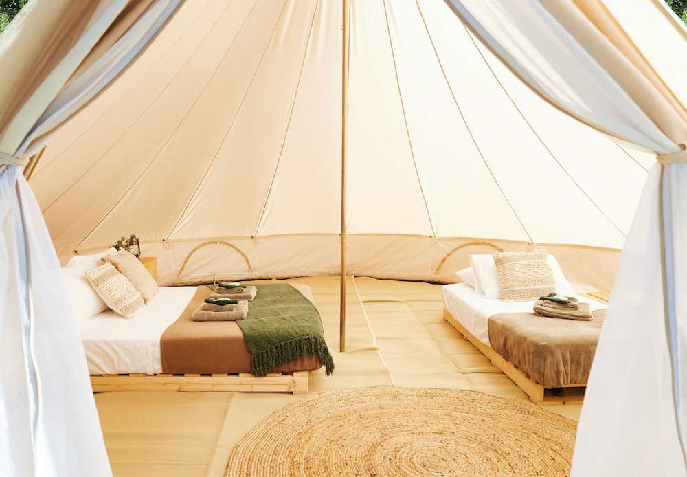 Mt Hart Wilderness Lodge 6/37