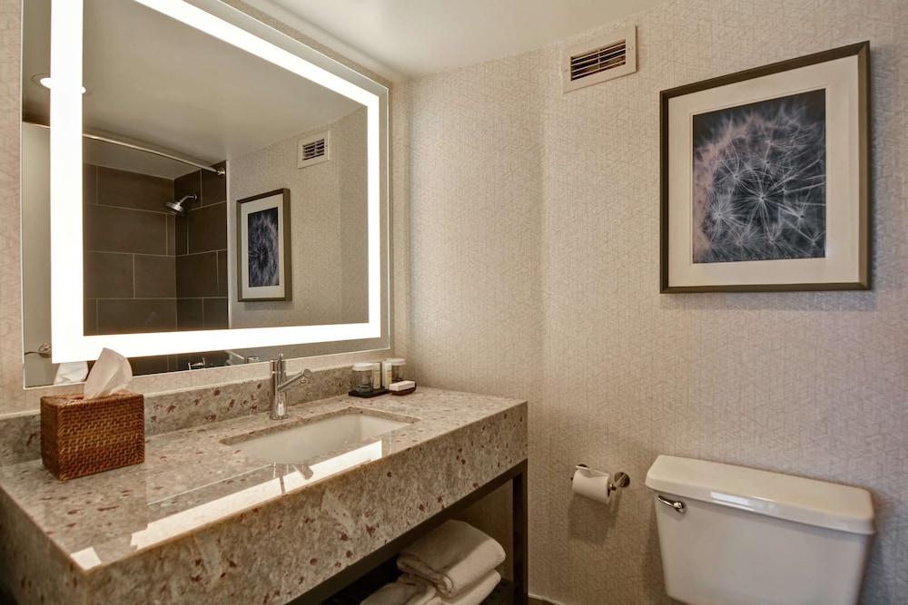 Embassy Suites by Hilton Minneapolis Airport 35/57