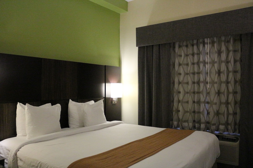 Best Western Knoxville Suites - Downtown 13/39