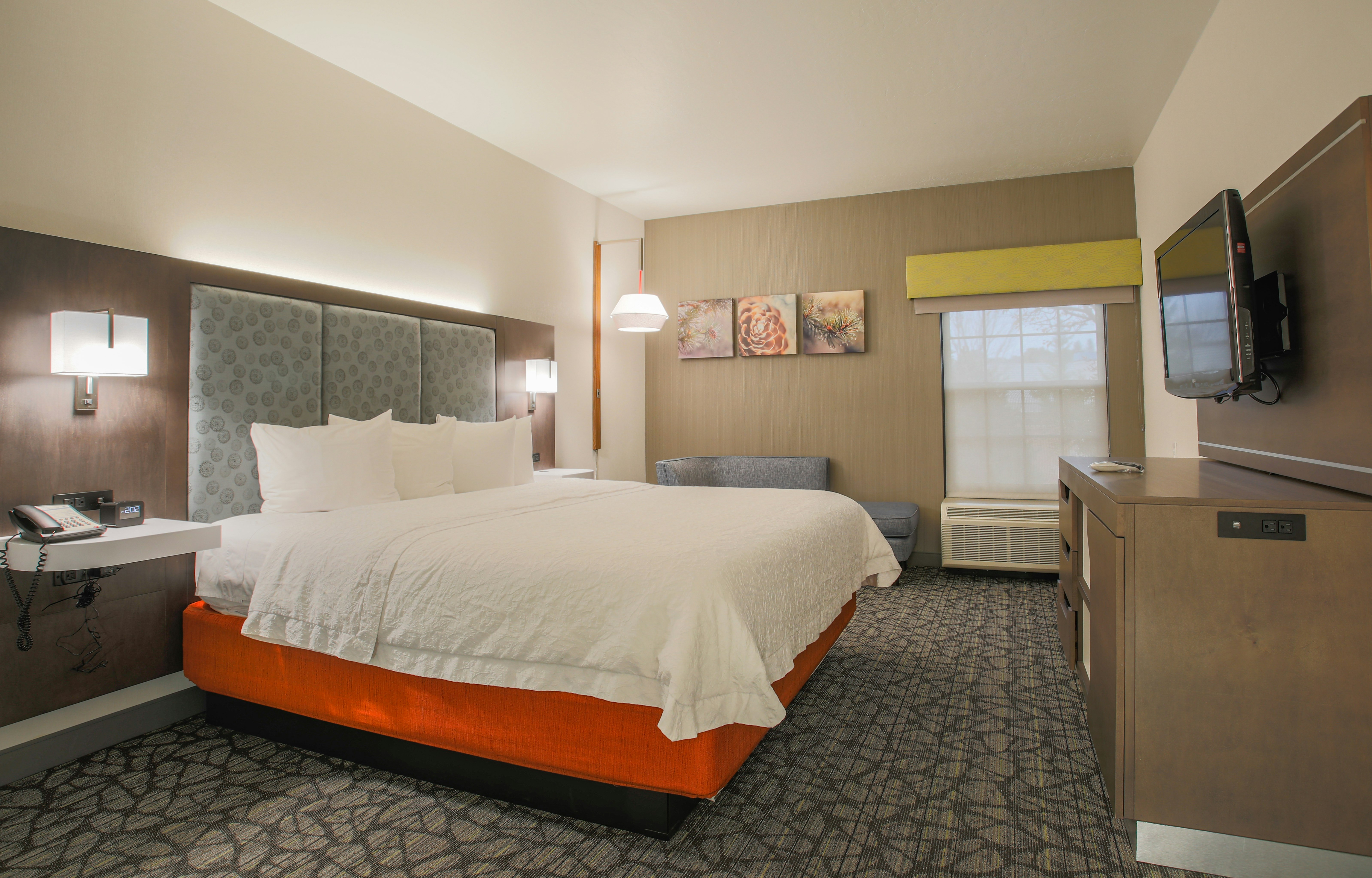 1 Bedroom, Suite, King Bed