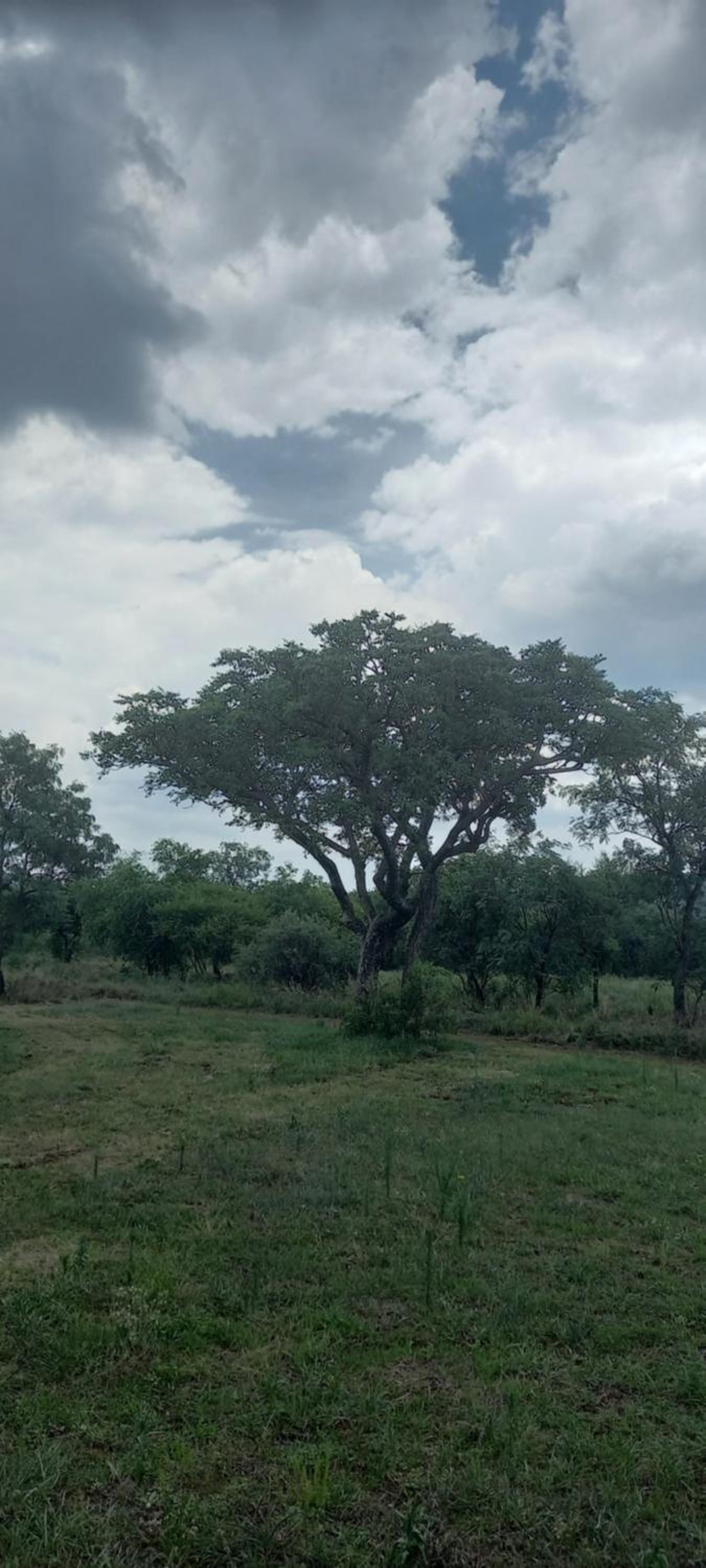 El Rancho Grande 20/33