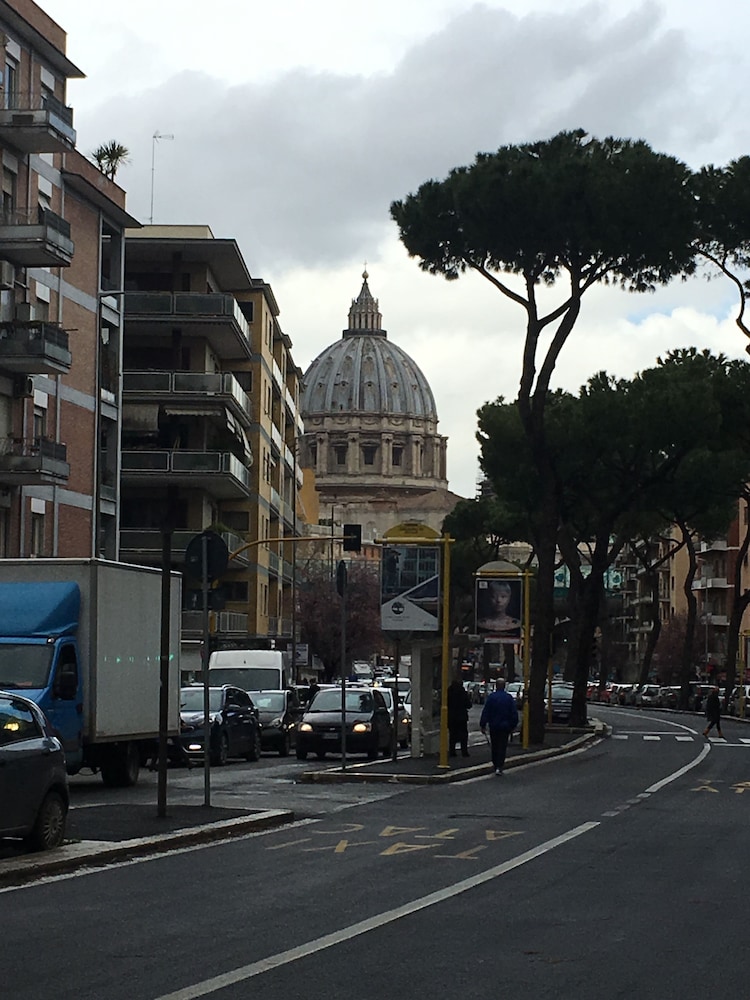 Domum Vaticani 39/50