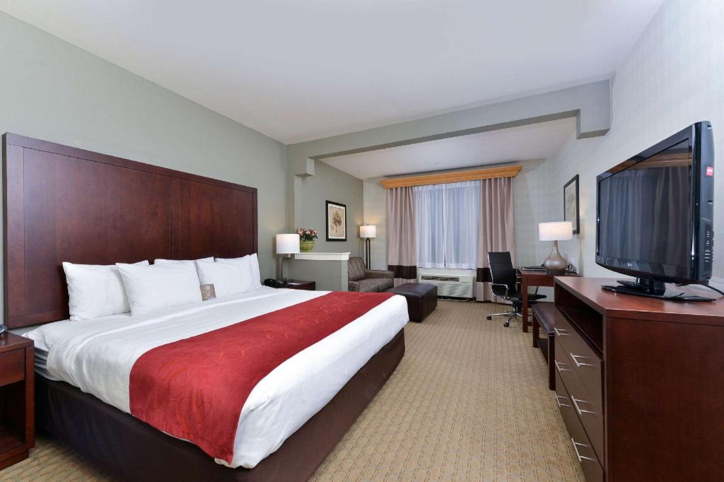 Upgrade, Suite, King Bed
