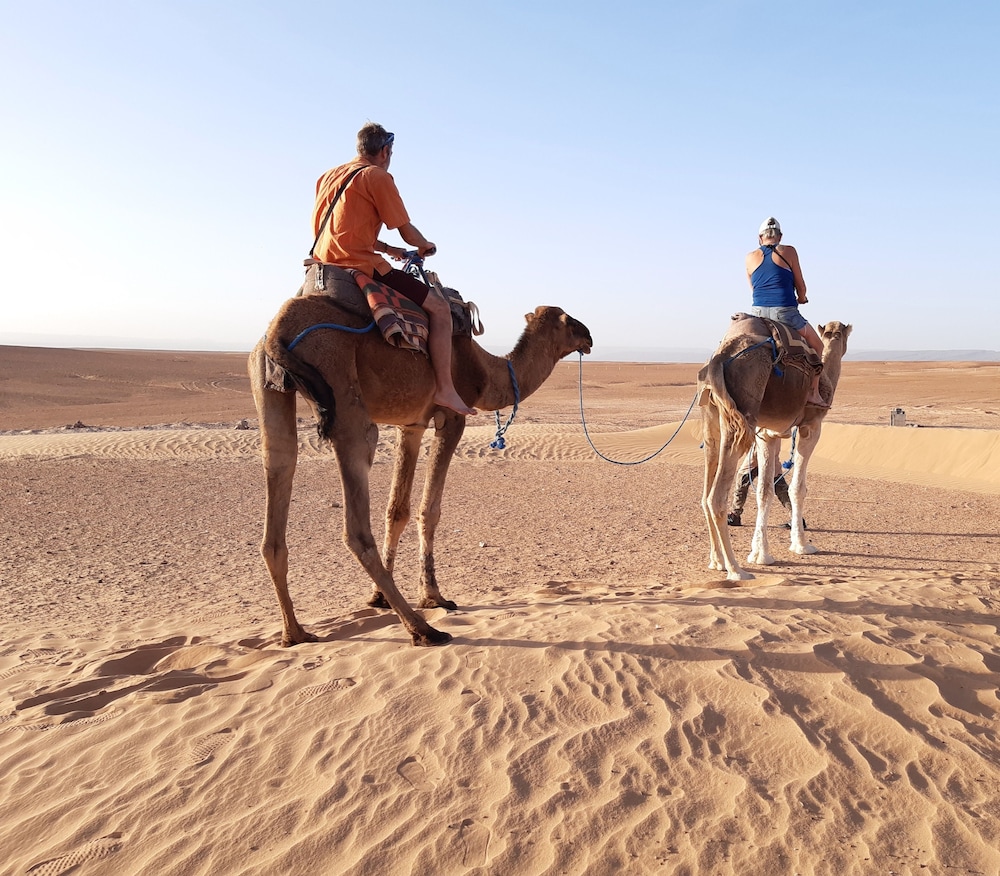 Sahara Peace Camp 26/38