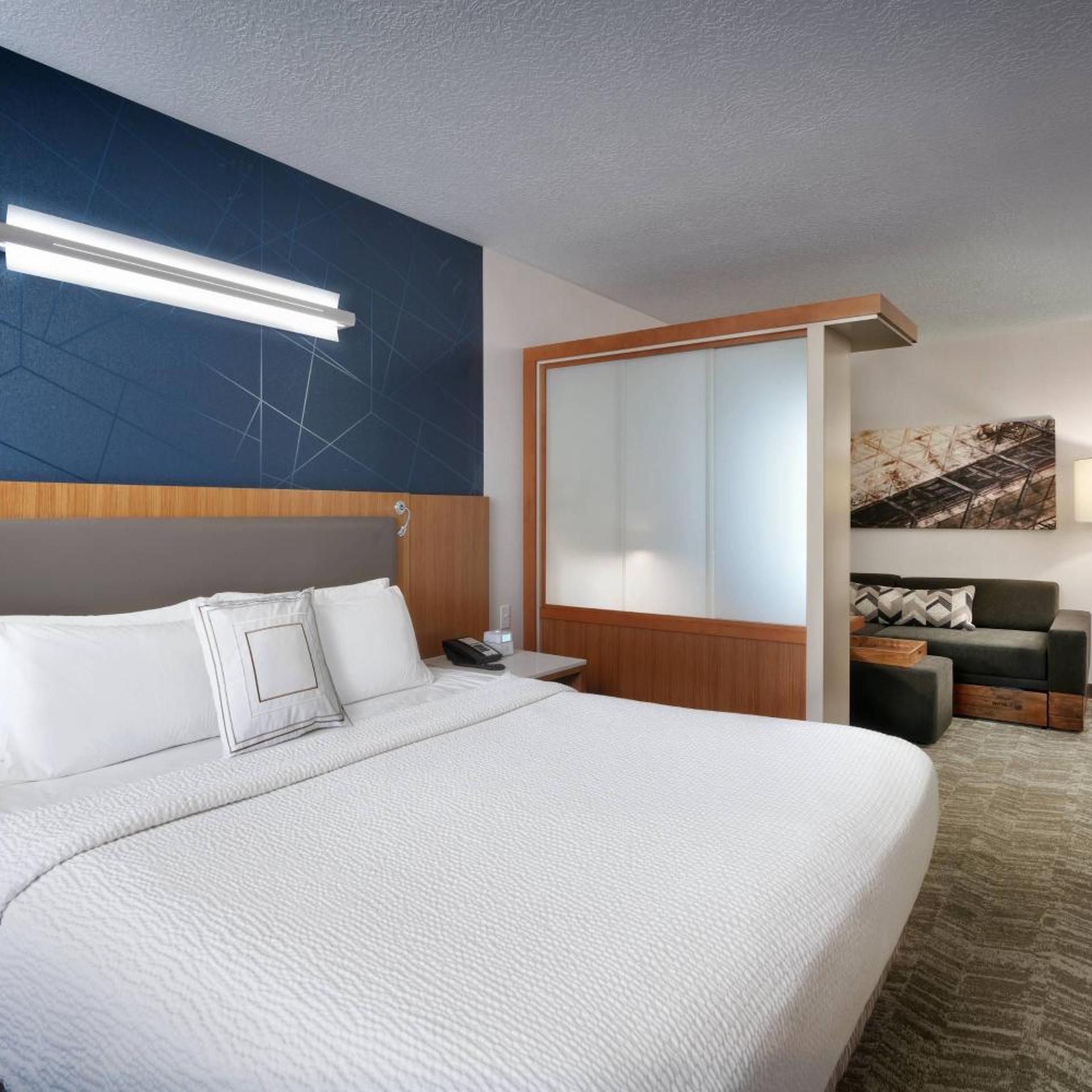 Suite, King Bed, Trundle Bed, Sofa, Accessible