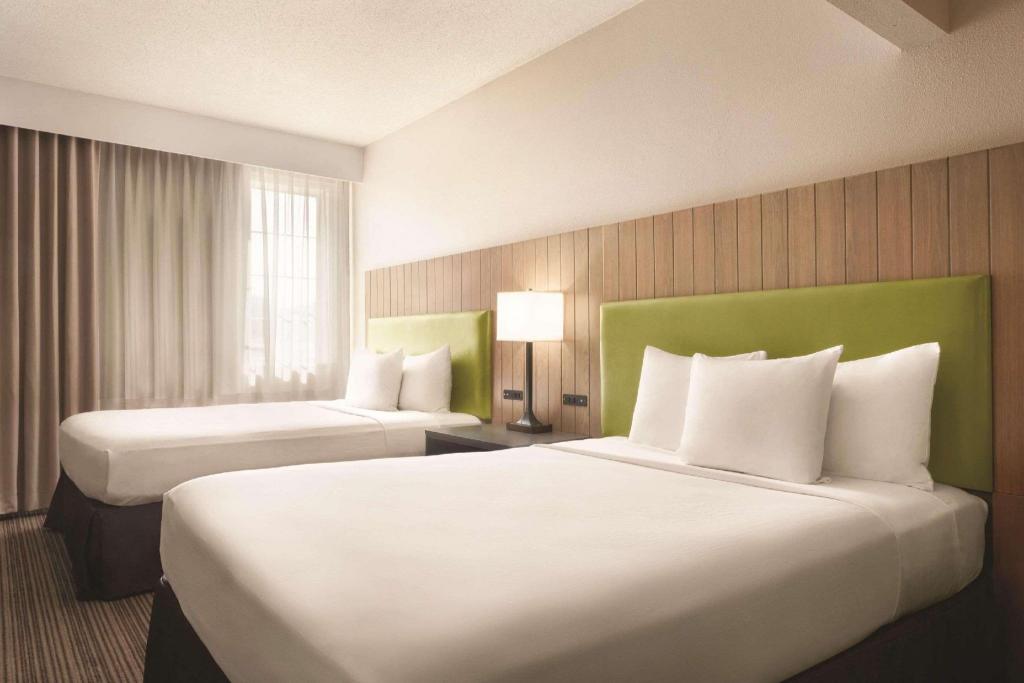 Suite, Queen Bed, Sofa