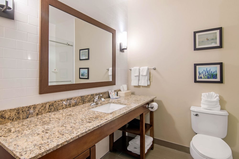 Comfort Inn and Suites Independence 13/40
