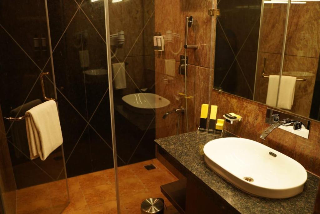 Accord Chrome Airport Hotel 16/20