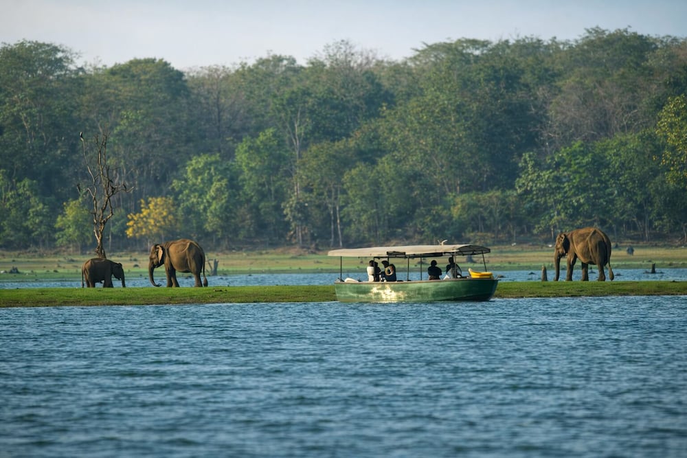 Regenta Jungle Resort Kabini Springs 38/50