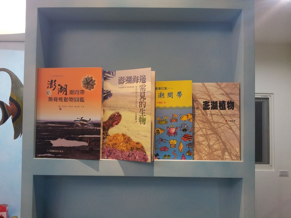 カモメ 写真2