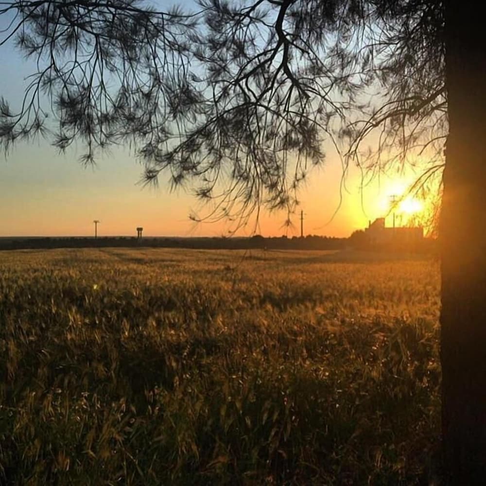 Hotel Masseria Fabrizio 42/62