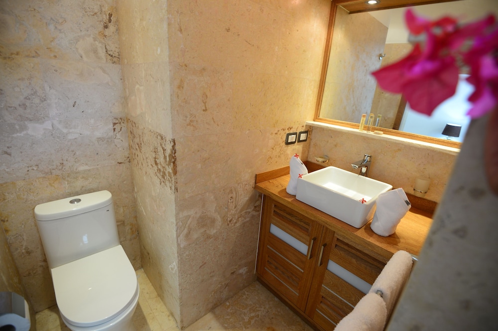 Aligio Aparthotel and Spa Playa Poppy 45/50