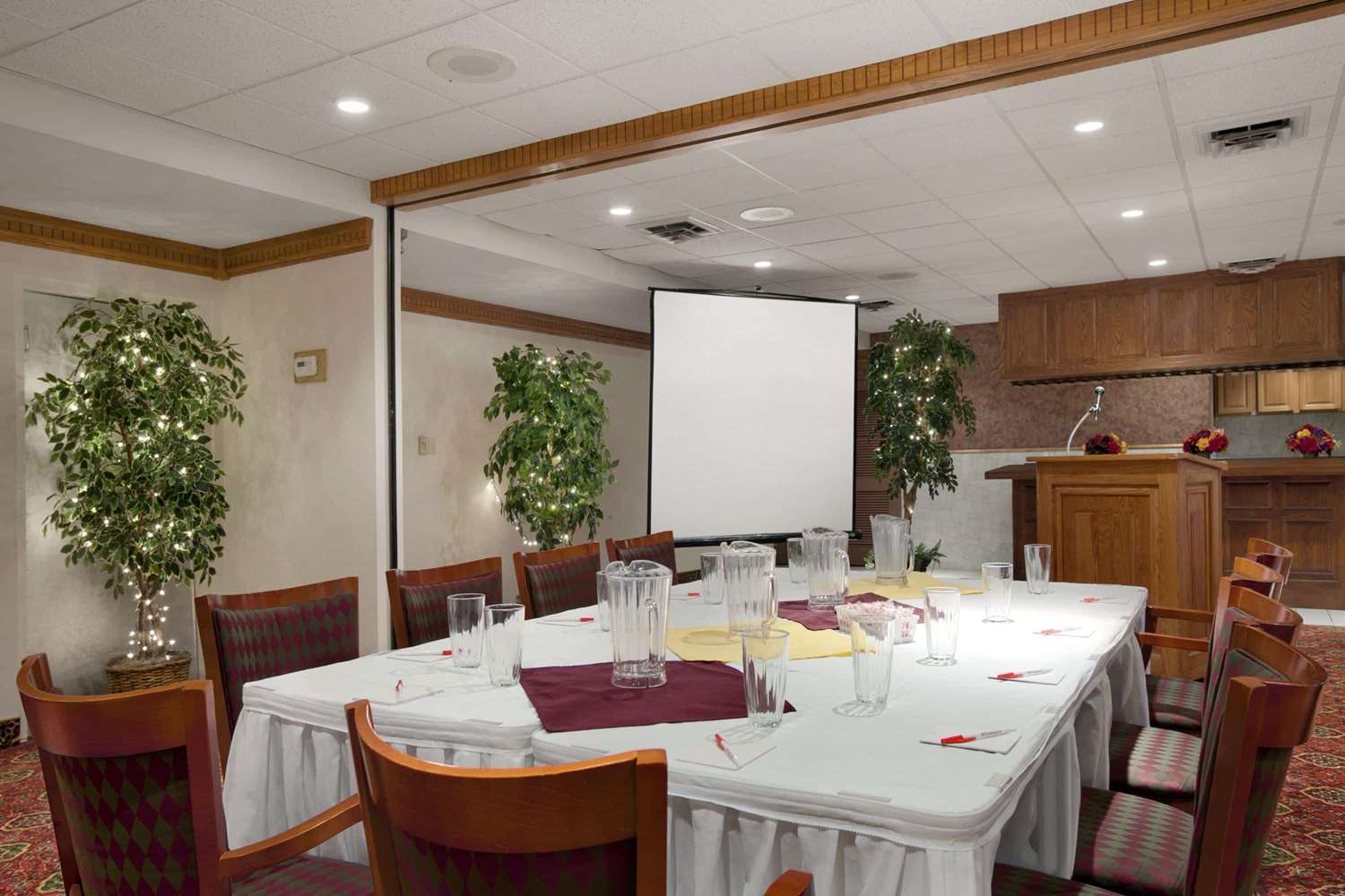 Ramada by Wyndham Saginaw Hotel and Suites 16/28