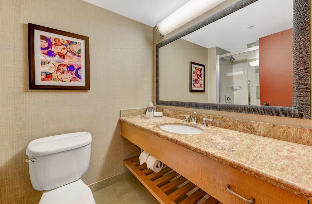 Hotel Fera Anaheim a DoubleTree by Hilton 55/63
