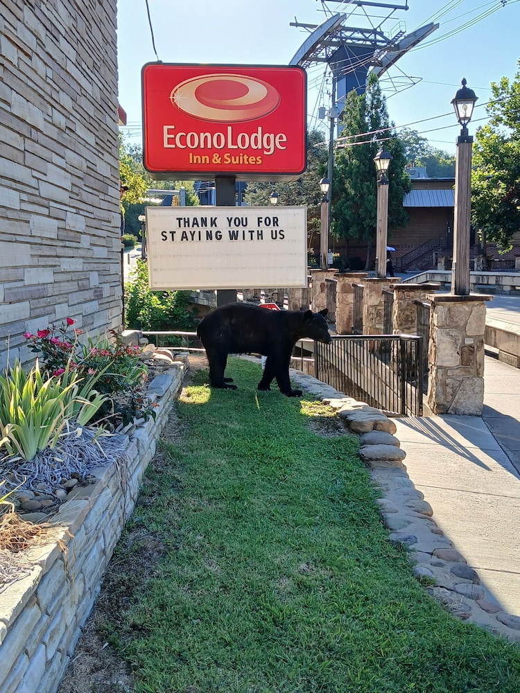 Econo Lodge Inn and Suites On The River 55/61
