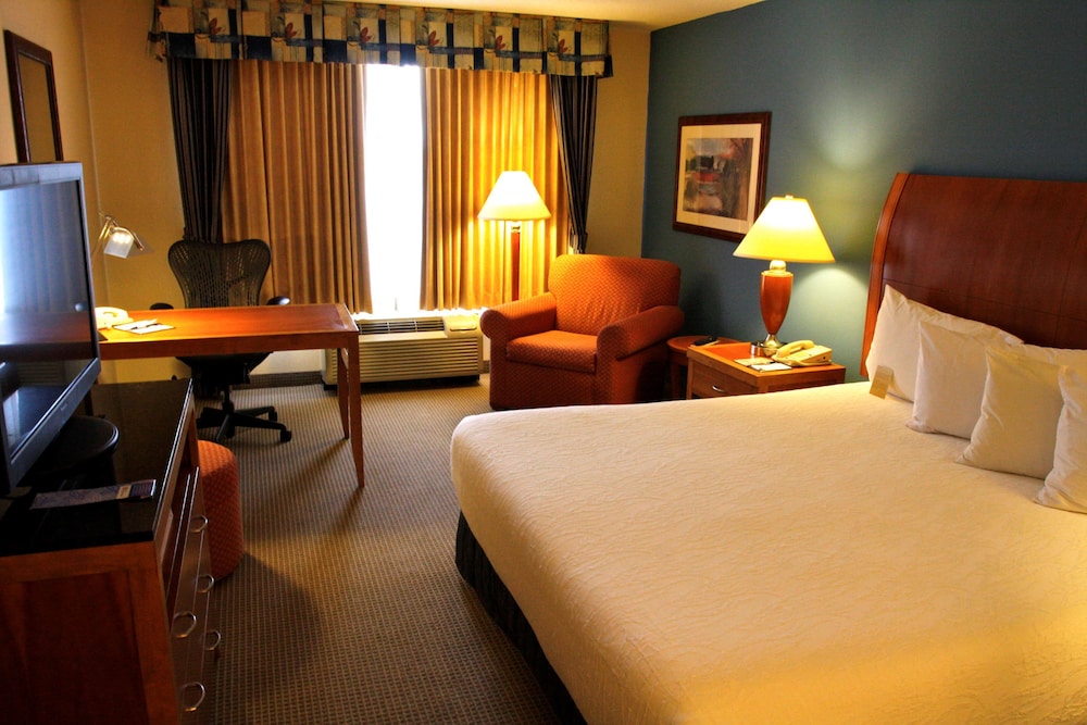 Hilton Garden Inn Albany Hotel 10/45