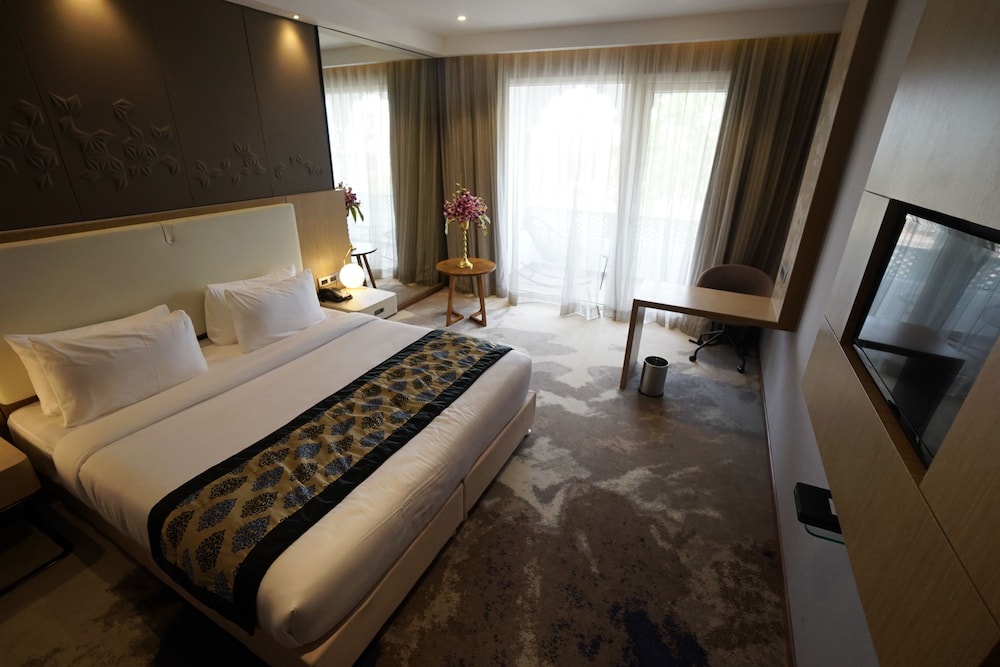 Clarks Inn Suites Raipur 17/50