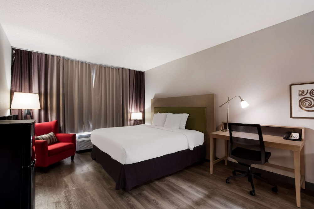 ROOM, KING BED, ACCESSIBLE