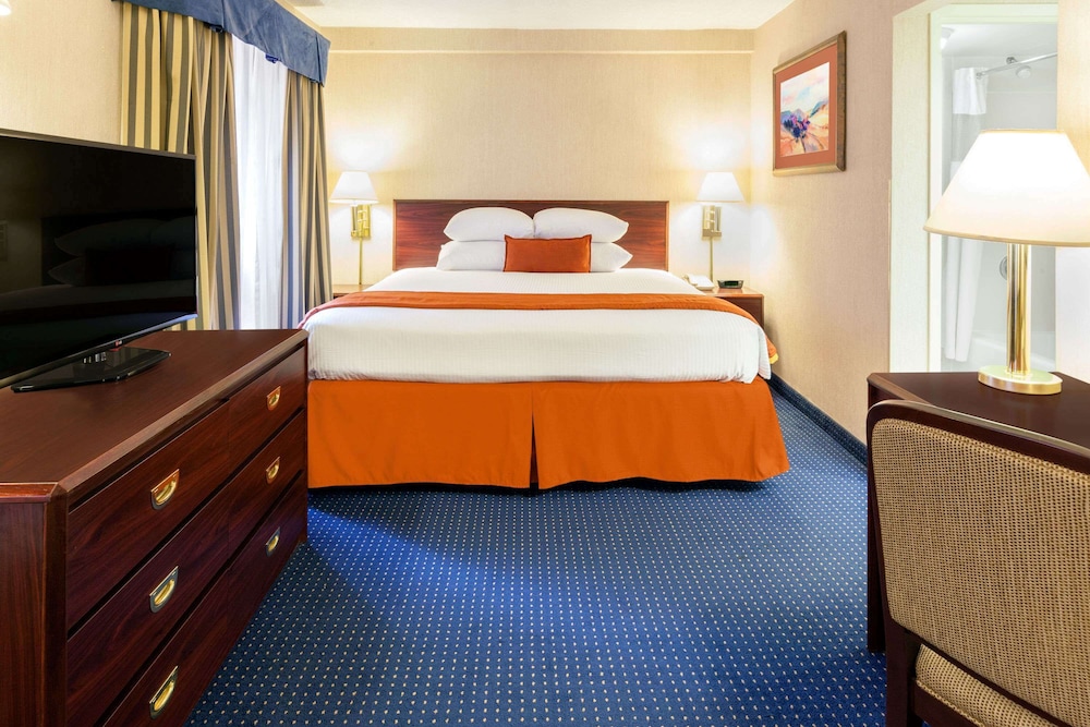 JUNIOR SUITE, KING BED