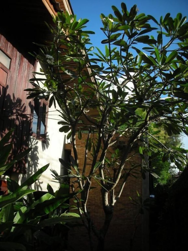Chiang Maan Residence 51/61