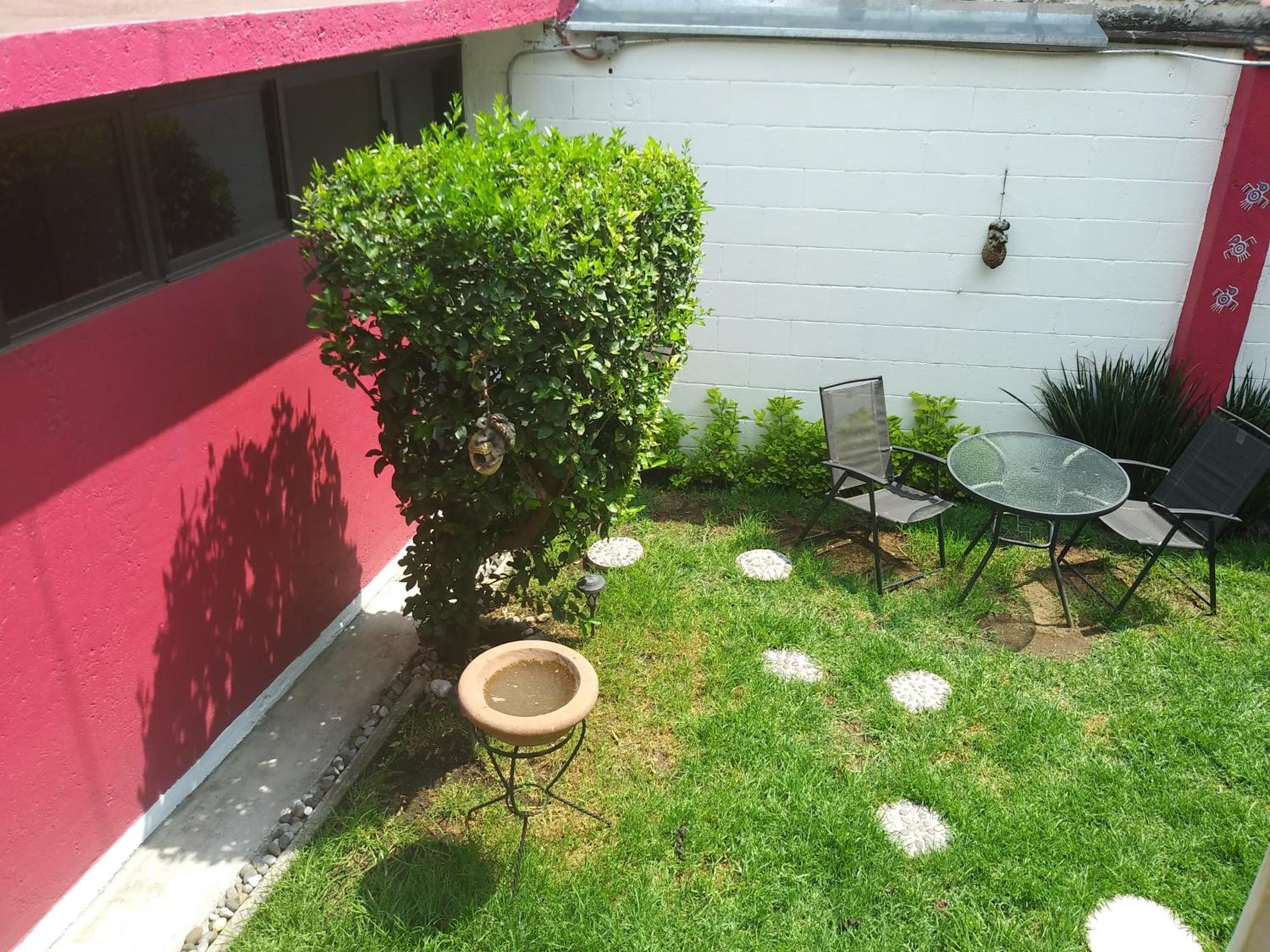 Oyo Hotel Colibri 8/9