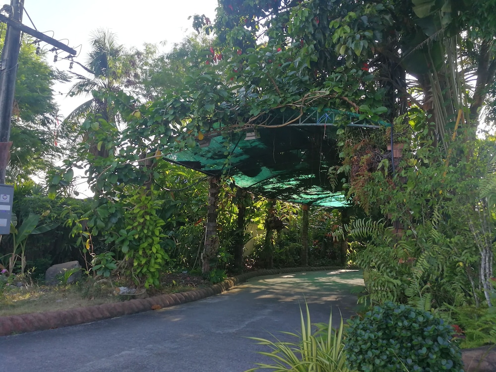 Palm Chalet Resort 41/50