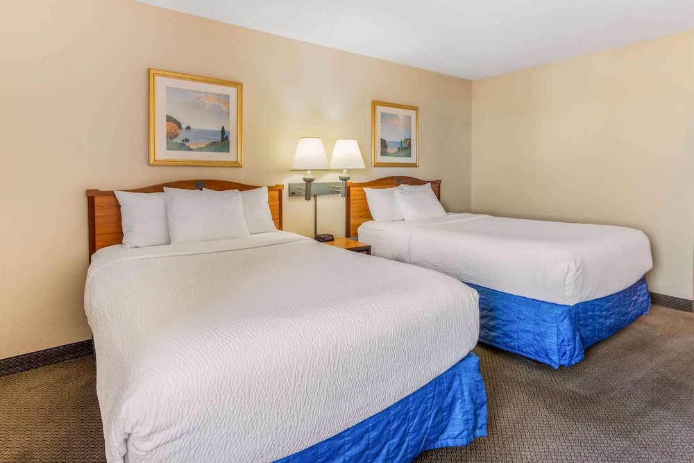 La Quinta Inn & Suites by Wyndham Las Cruces Organ Mountain 19/49