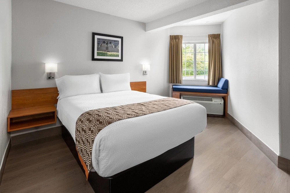 Microtel Inn Suites By Wyndham Albany Airport 12/49