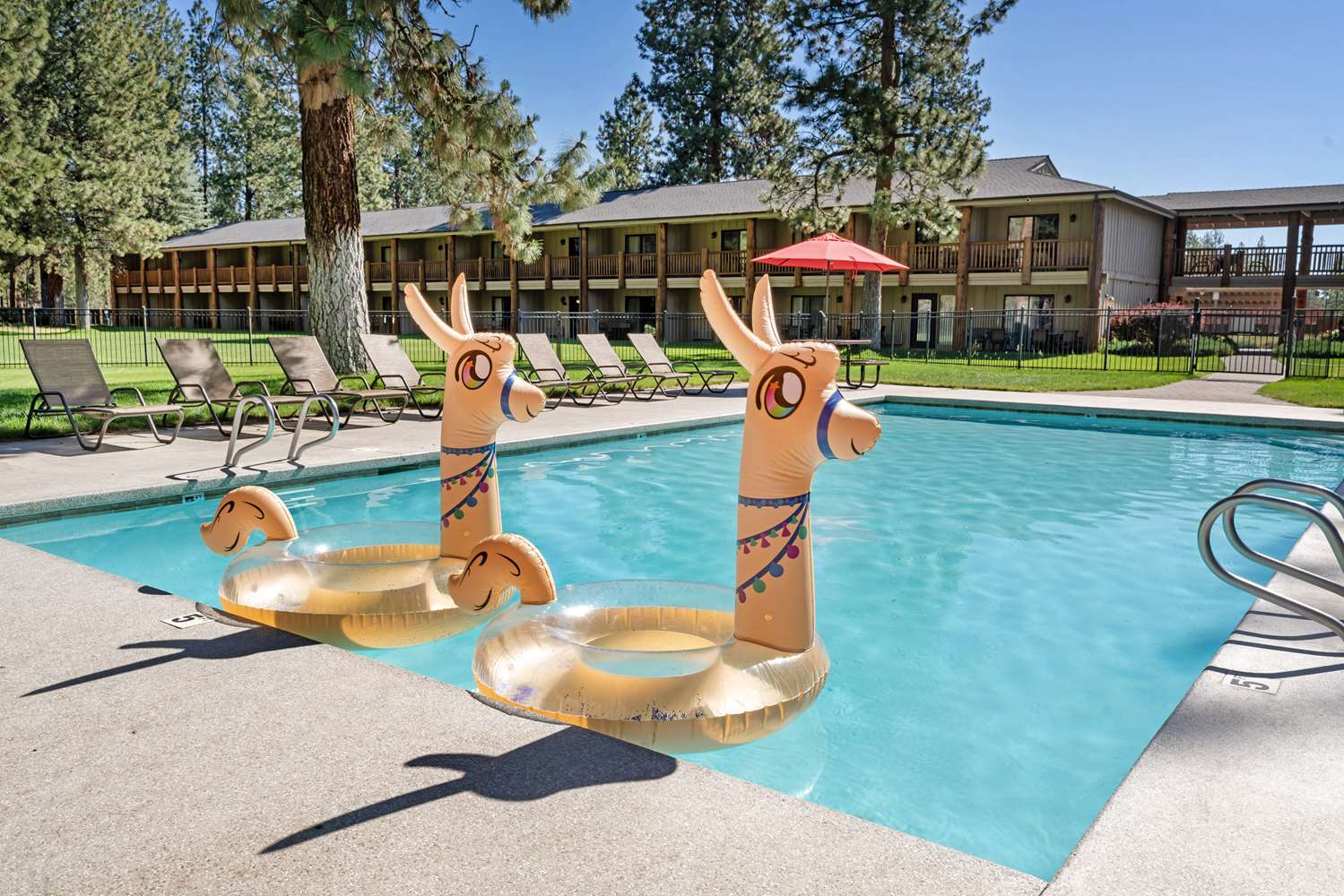 BEST WESTERN PONDEROSA LODGE 40/41