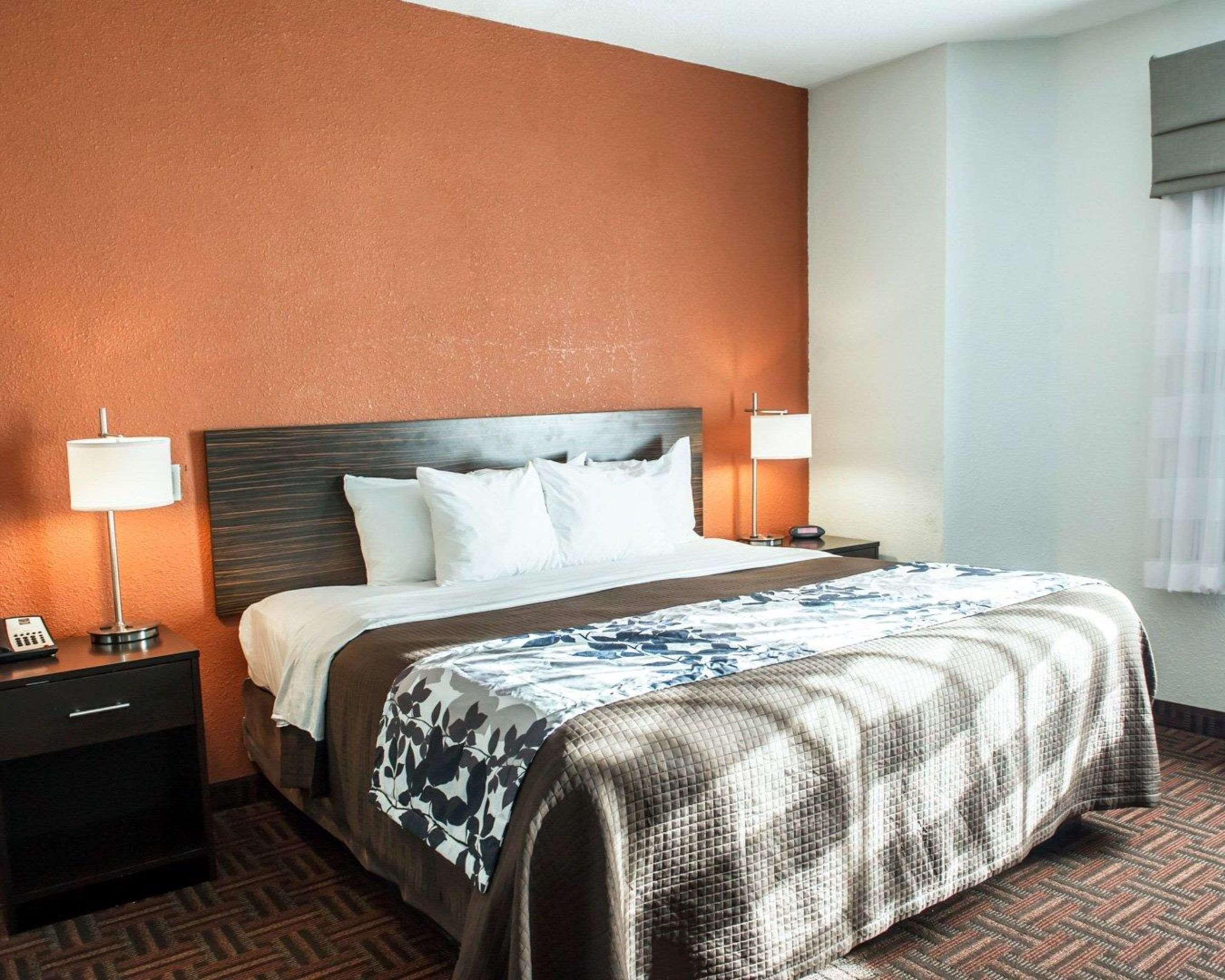Suite, King Bed