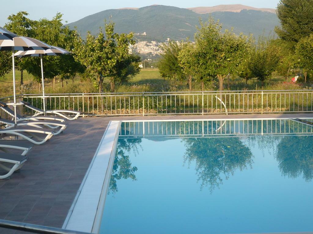 CAMPIGLIONE 25/41