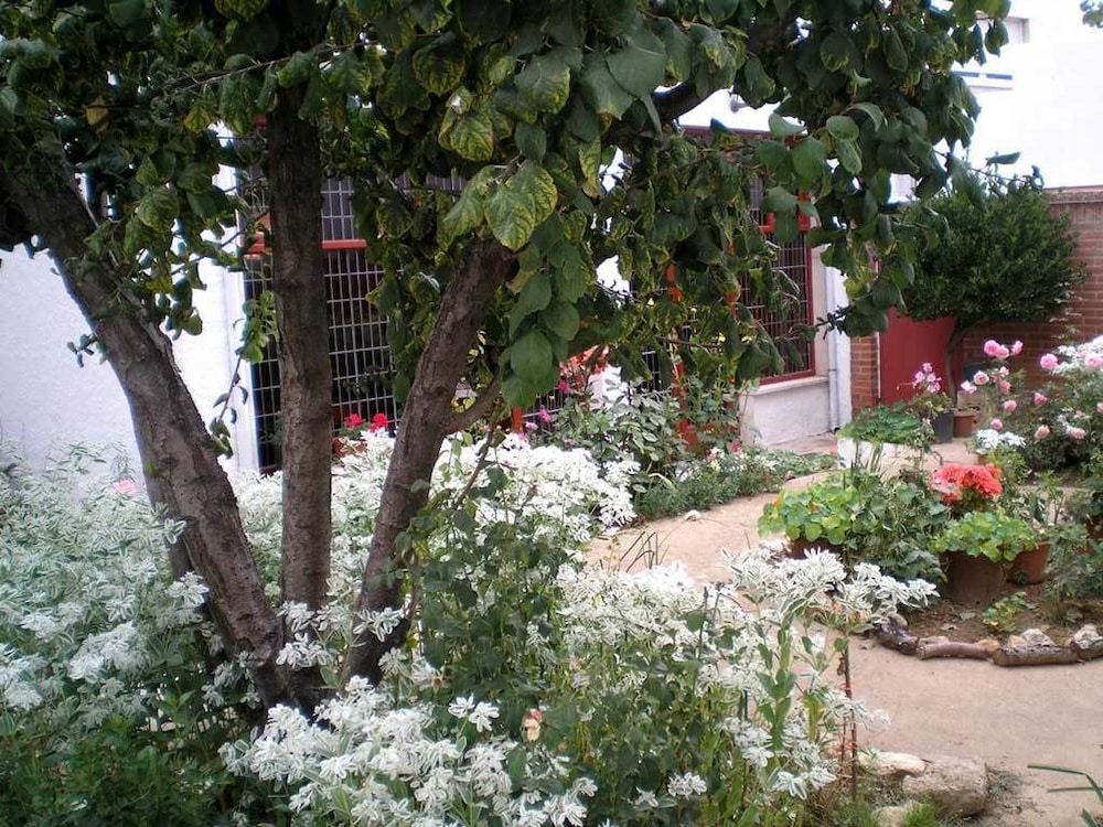 TIERRA DE CAMPOS 5/42