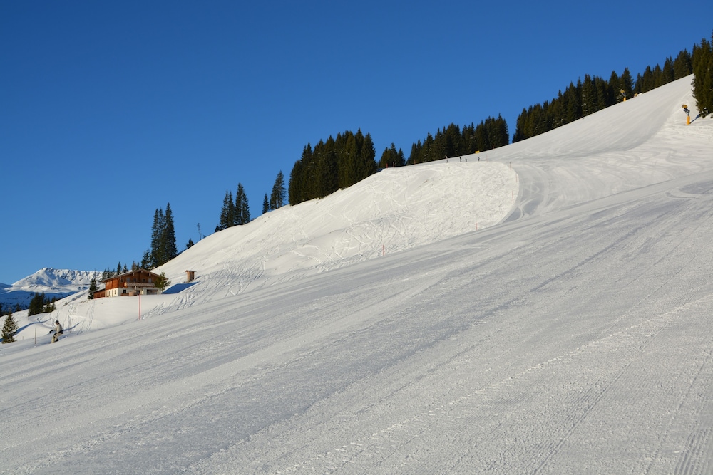 Alpine Premium Chalet Wallegg-Lodge 11/16