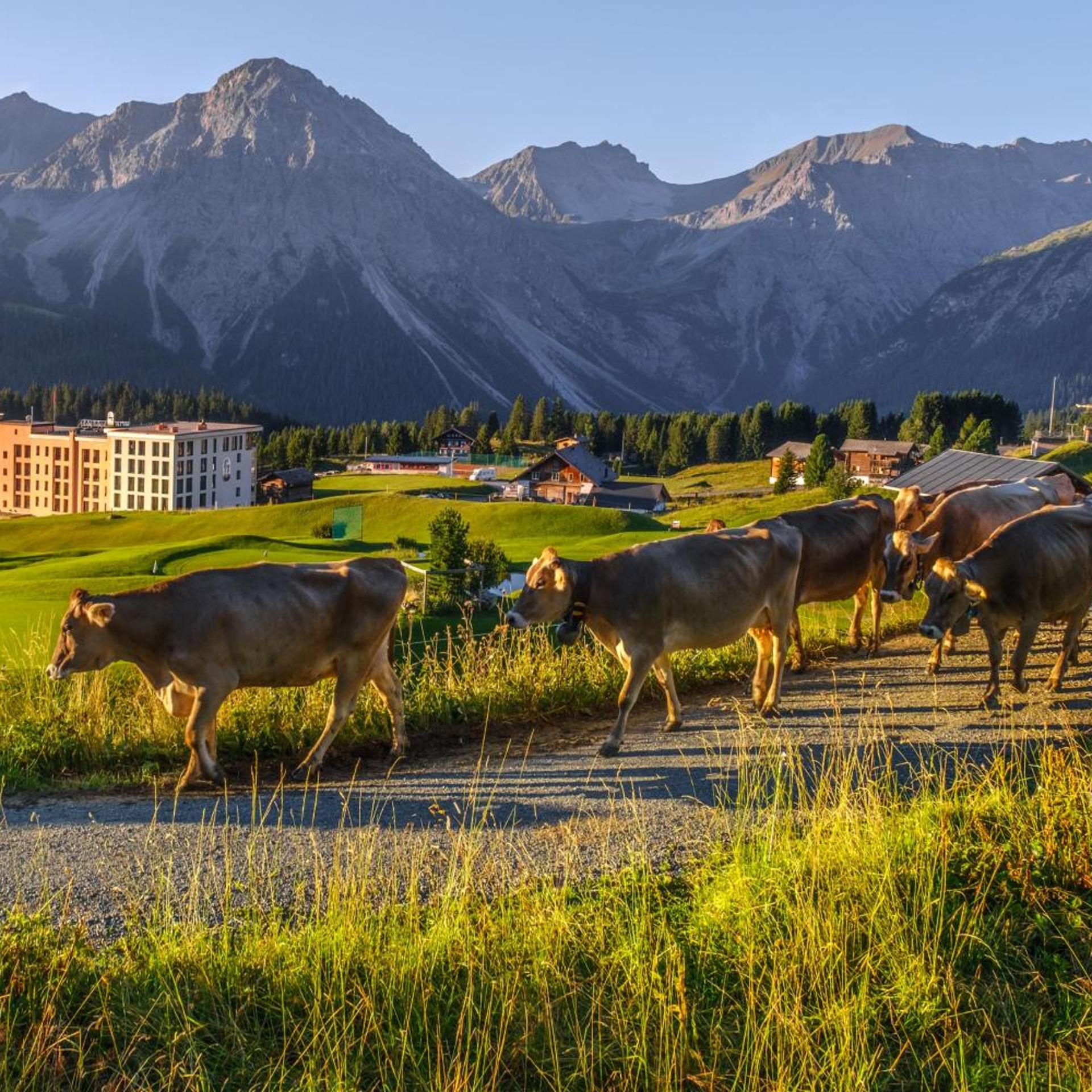 Golf & Sporthotel Hof Maran 43/50