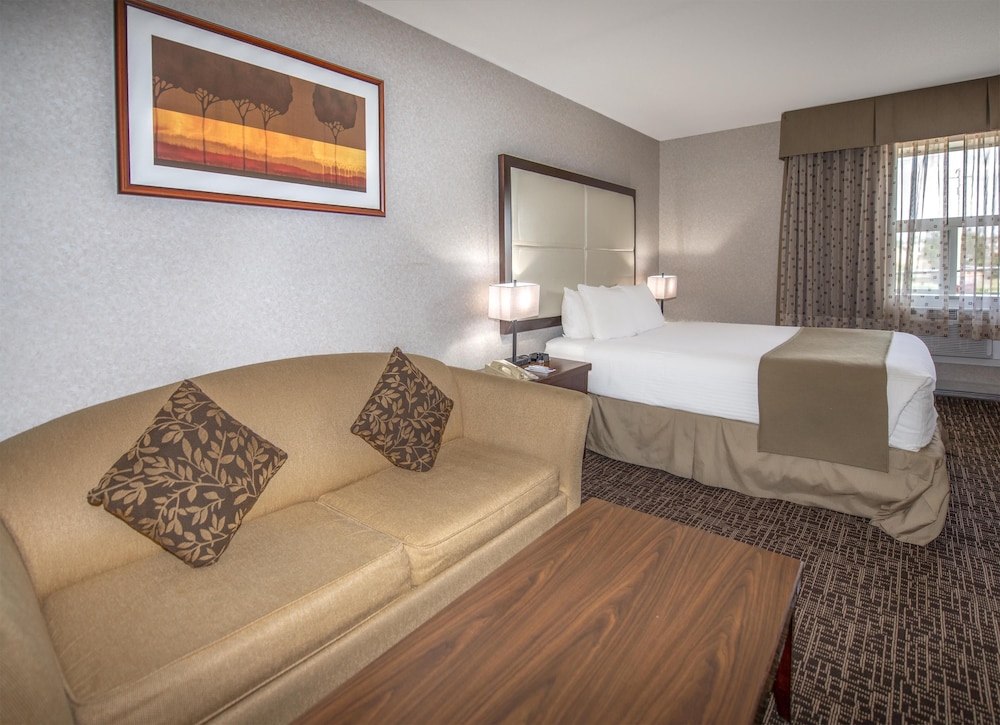 Room, Queen Bed