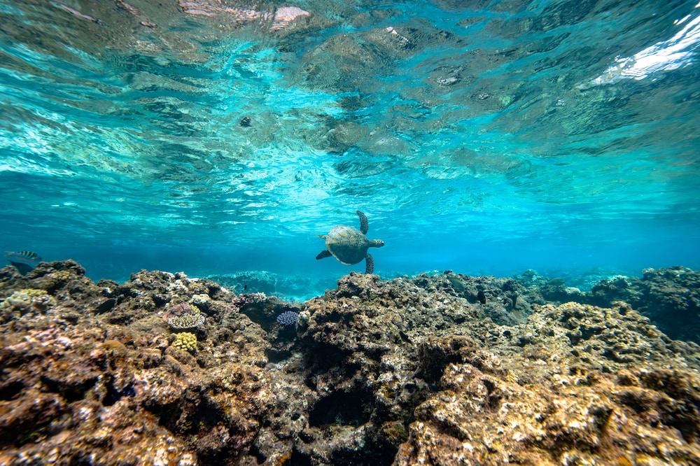 InterContinental Lifou Wadra Bay Resort by IHG 40/50